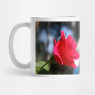 Bright and Colorful RED ROSE close up Mug